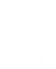 centified icon